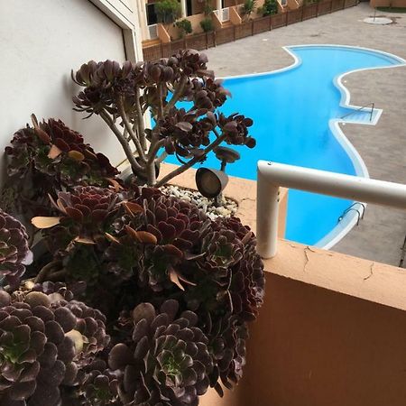 Medano Beach - Marineda - Pool View - 2 Эль-Медано Экстерьер фото